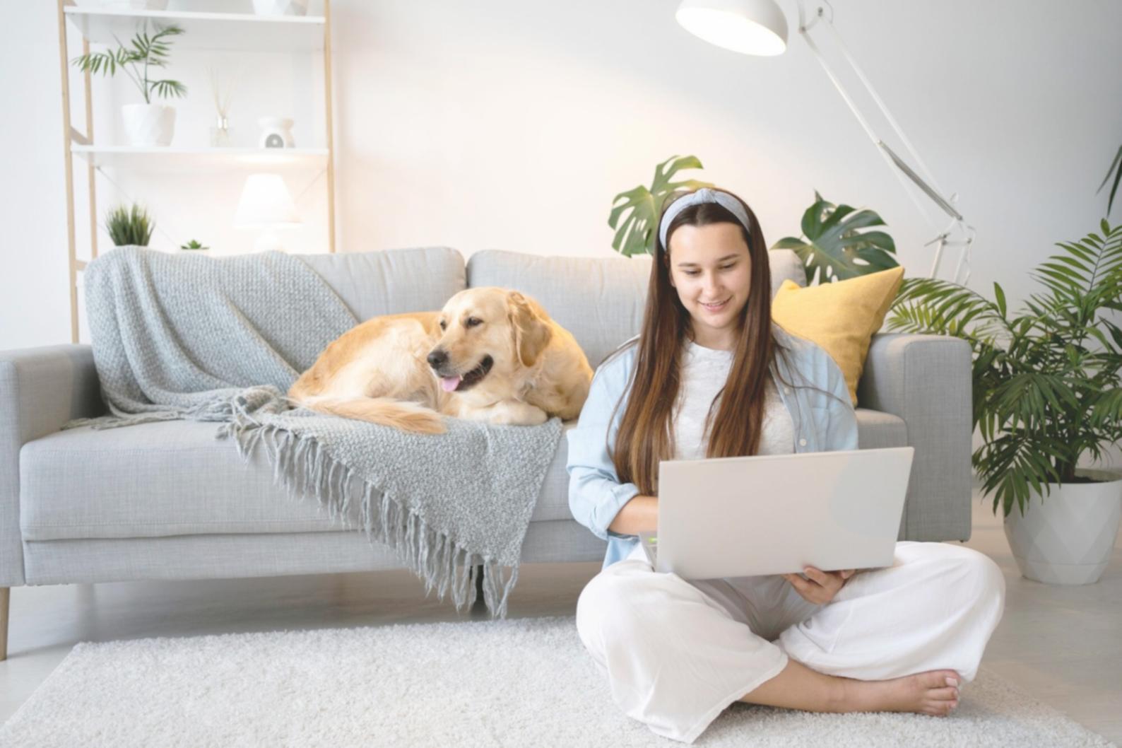 Strukturiertes Lernen und Wissensvermittlung